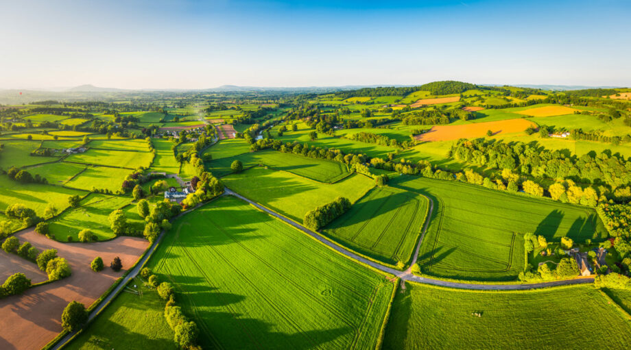 Aerial view of farmland